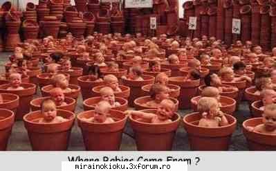 de unde vin copii? :rotfl:  :rotfl:  :rotfl: imagini haioase