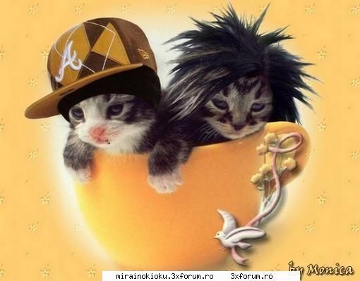 Poze gemenii! - No NaMe - Tokio Hotel